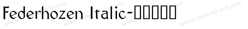 Federhozen Italic字体转换